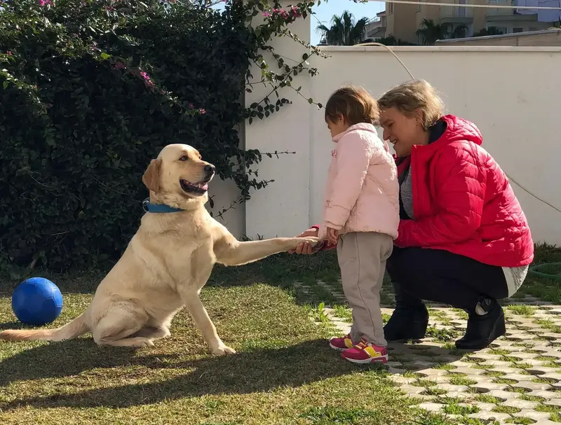 Golf Sahası Manzarası
